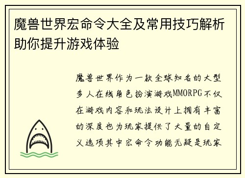 魔兽世界宏命令大全及常用技巧解析助你提升游戏体验