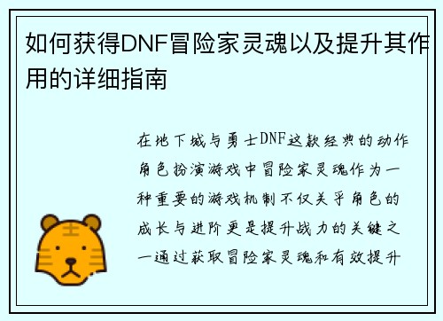 如何获得DNF冒险家灵魂以及提升其作用的详细指南